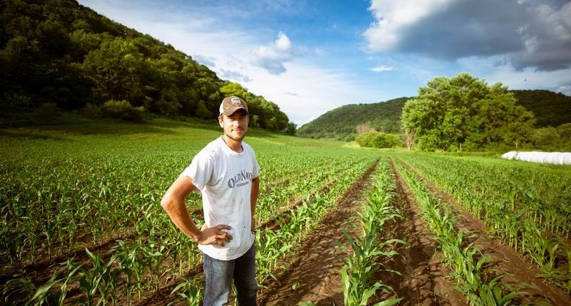 Solicitação de Aposentadoria por Idade Rural – Acordo Internacional